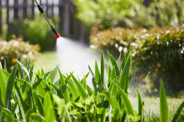 Tamper-Resistant Bait Stations for Rodents in Bedford Heights