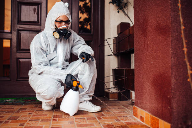 Attic and Crawl Space Rodent Treatment in Bedford Heights