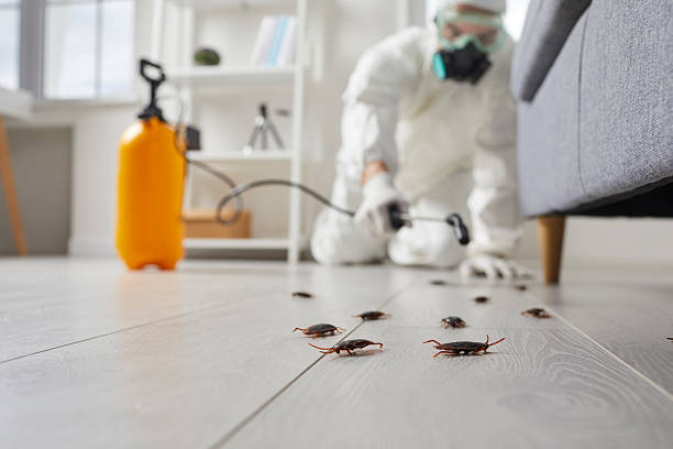 Commercial Rodent Management in Bedford Heights